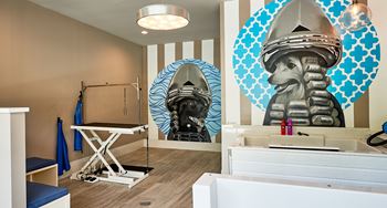 Dog baths and drying stations